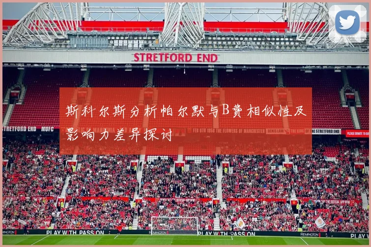 斯科尔斯分析帕尔默与B费相似性及影响力差异探讨